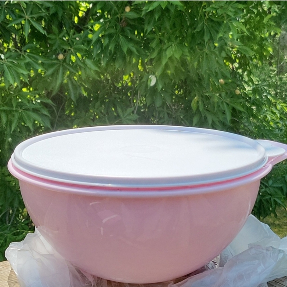 Tupperware 12- cup Thatsa Bowl